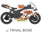 TRIVAL BONE