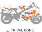 TRIVAL BONE
